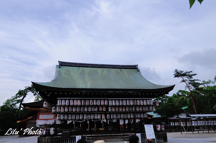 DSC_4685.jpg