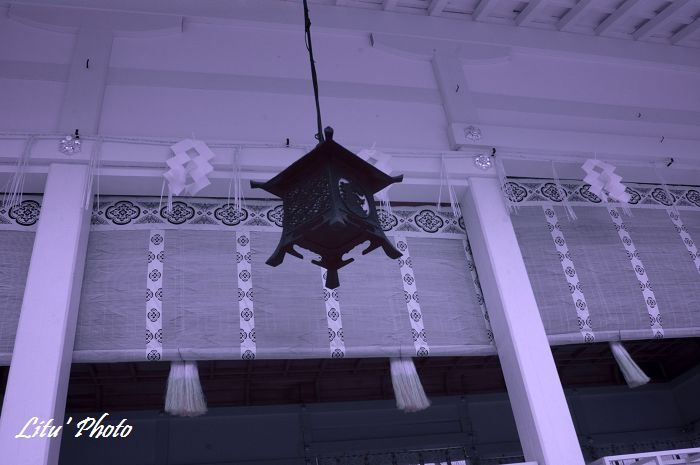 DSC_5035.jpg