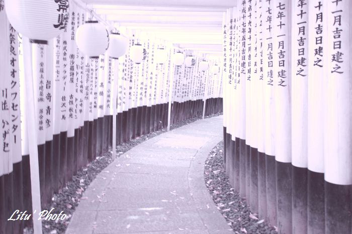 DSC_5058.jpg