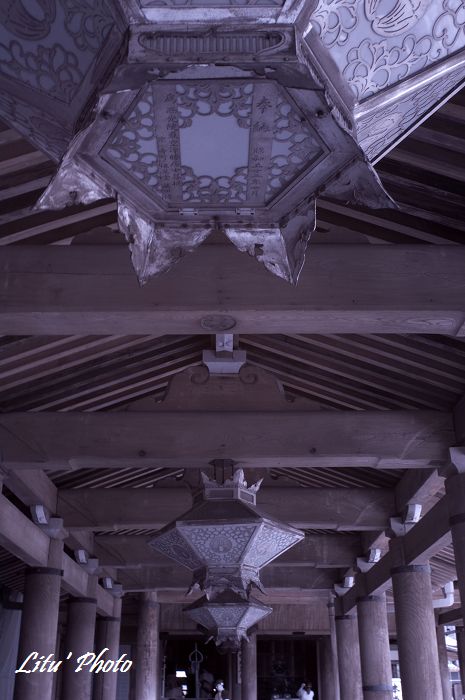 DSC_5083.jpg