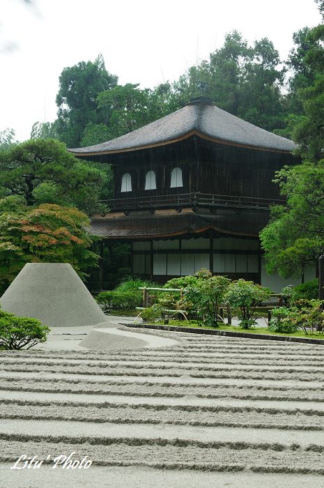 DSC_4885.jpg