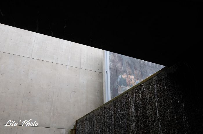 DSC_5022.jpg