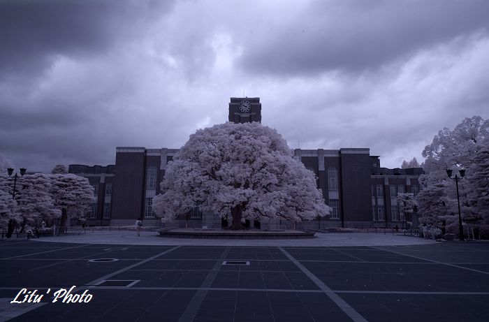 DSC_5112.jpg