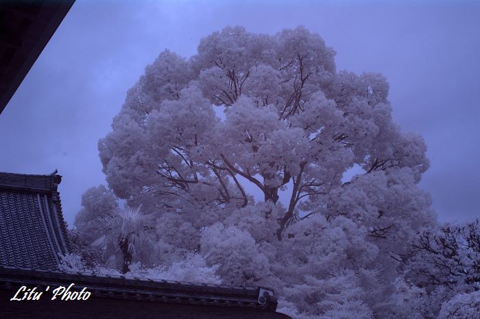 DSC_5210.jpg