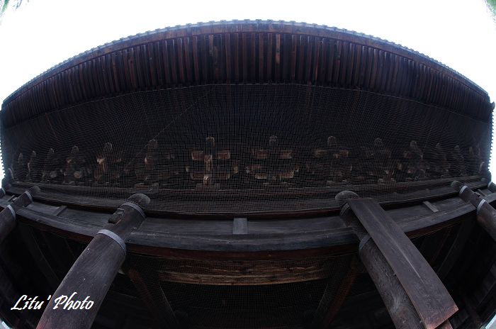 DSC_5347.jpg