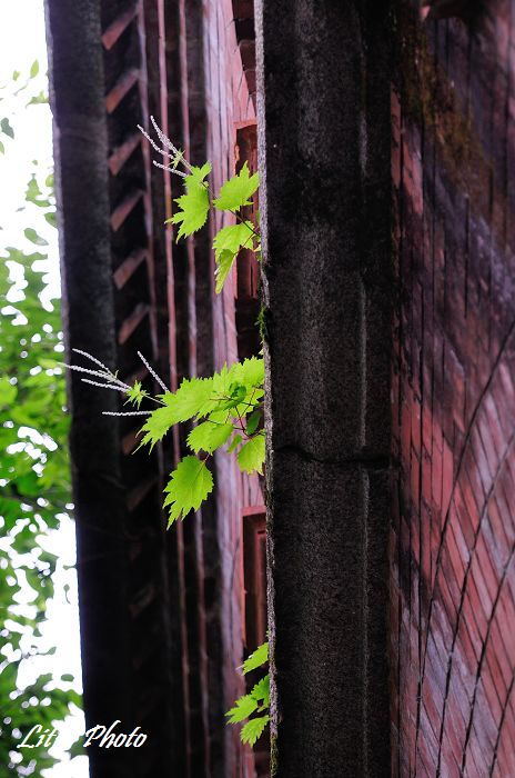 DSC_5389.jpg