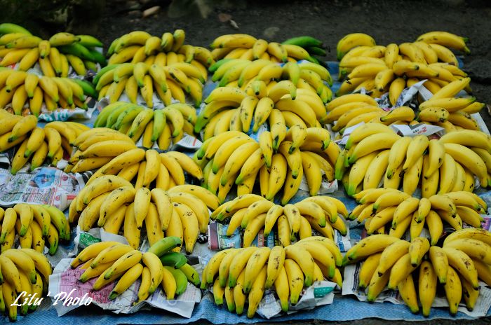 DSC_5963.jpg