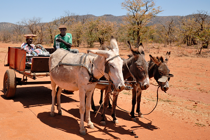 Herero grandparets and grandchild