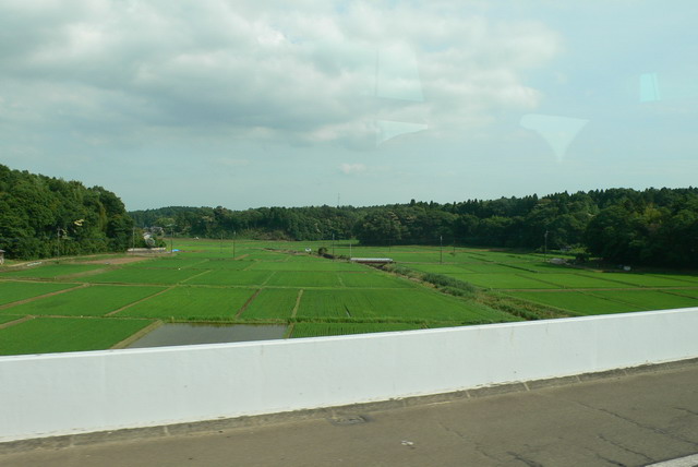 hm003.JPG