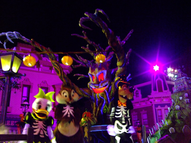 DSCF2647.JPG