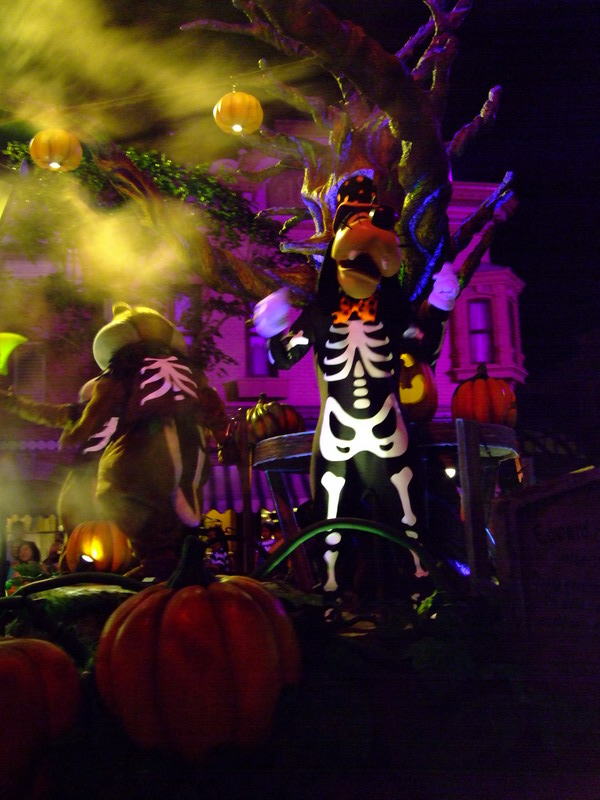 DSCF2648.JPG