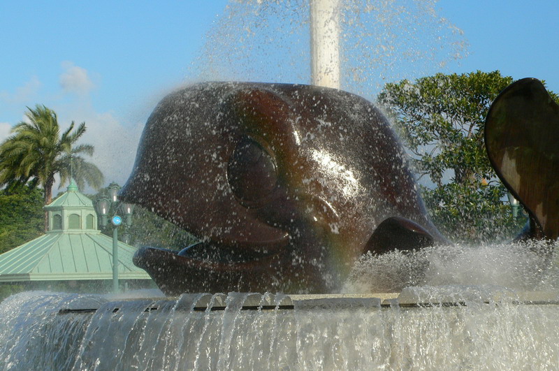P1050757.JPG