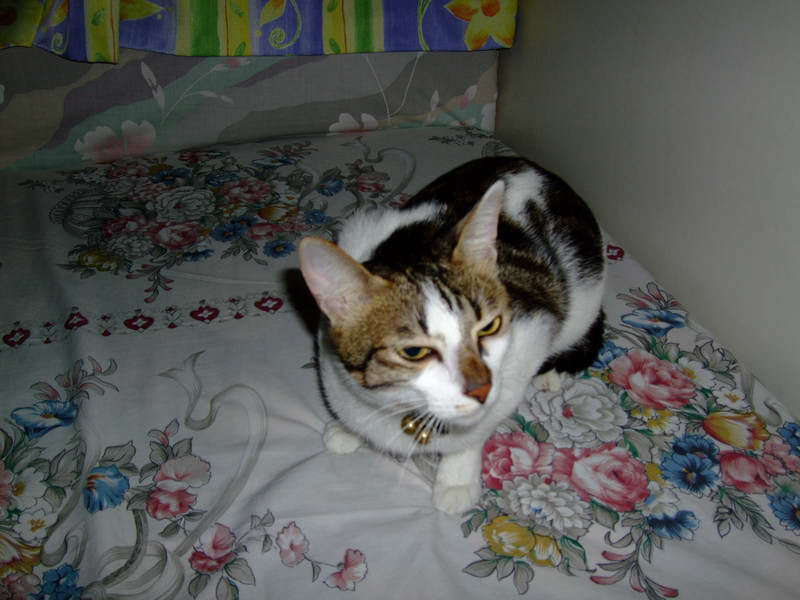 DSCF2402.JPG