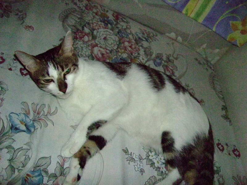 DSCF2406.JPG