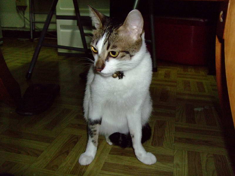 DSCF2408.JPG