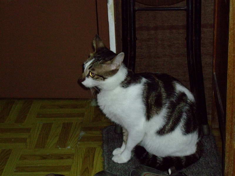 DSCF2409.JPG