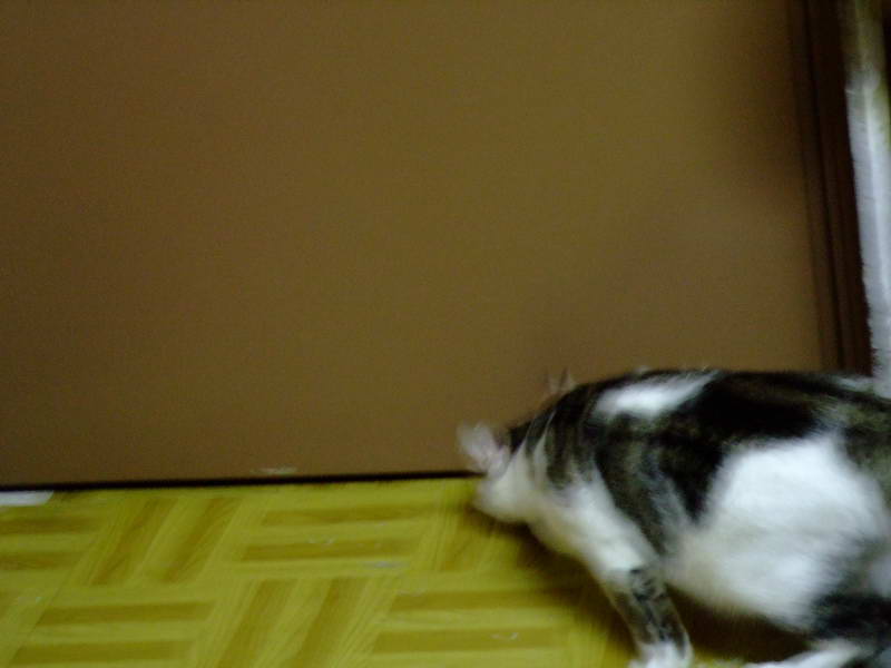 DSCF2413.JPG