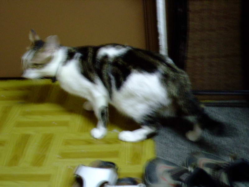 DSCF2416.JPG