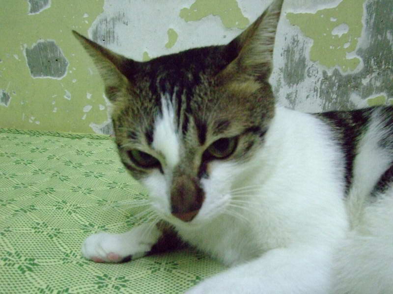 DSCF2442.JPG