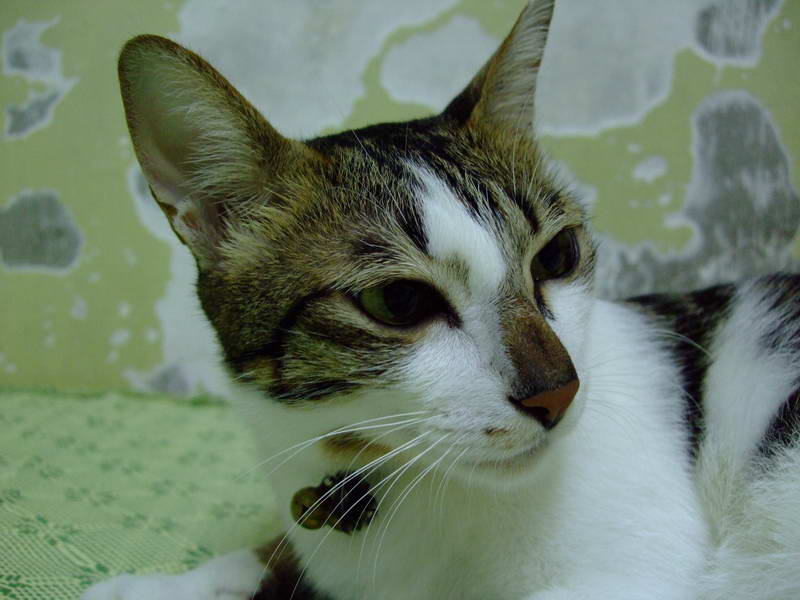 DSCF2451.JPG