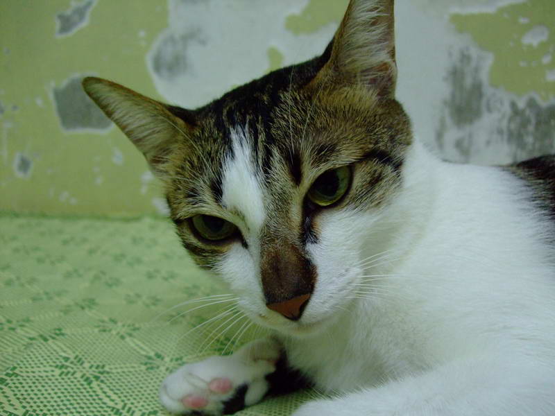 DSCF2452.JPG