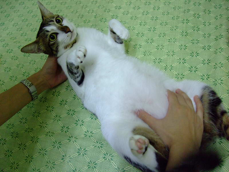 DSCF2454.JPG