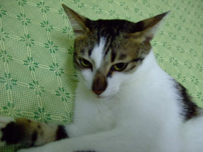 DSCF2458.JPG