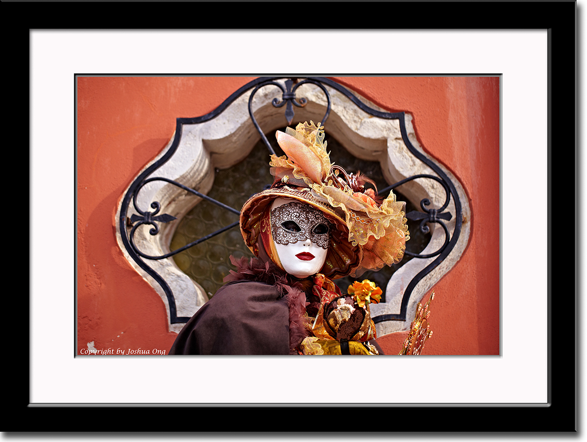 Framed Elegant Mask