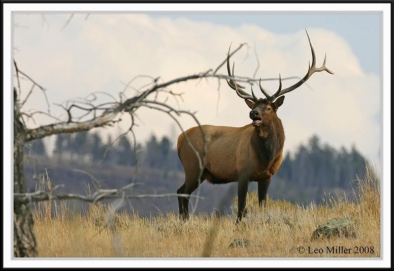 PC-_J3W1092CC framed.jpg