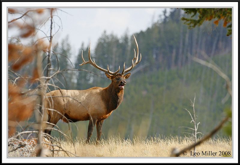 PC-_J3W1098CC framed.jpg