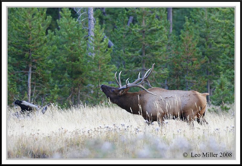 PC-_J3W1119CC framed.jpg