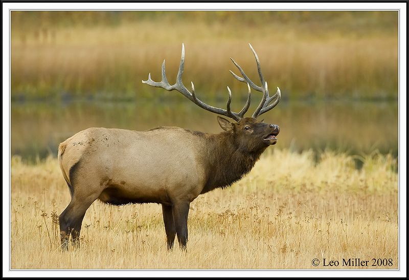 PC-_J3W1217CC framed.jpg