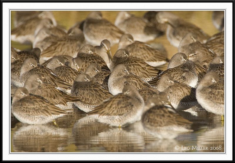 PC-_J3W7416CC framed.jpg