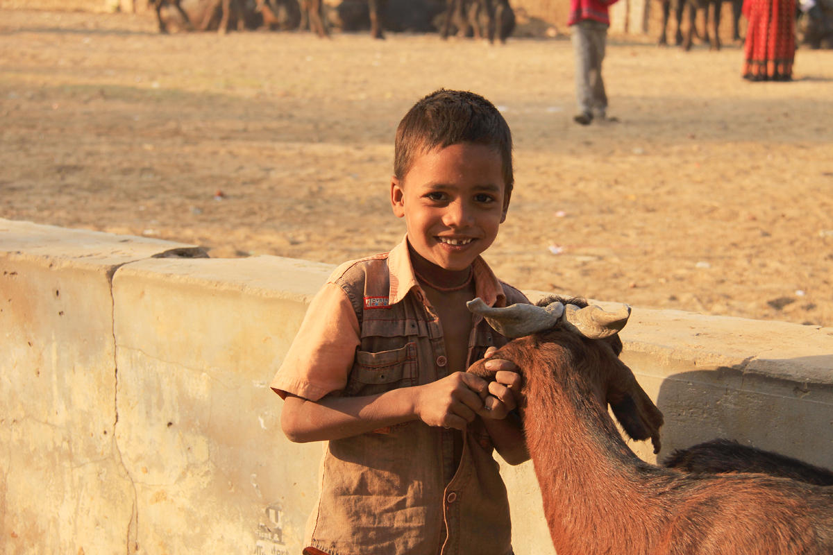 Patan boy and goat.jpg