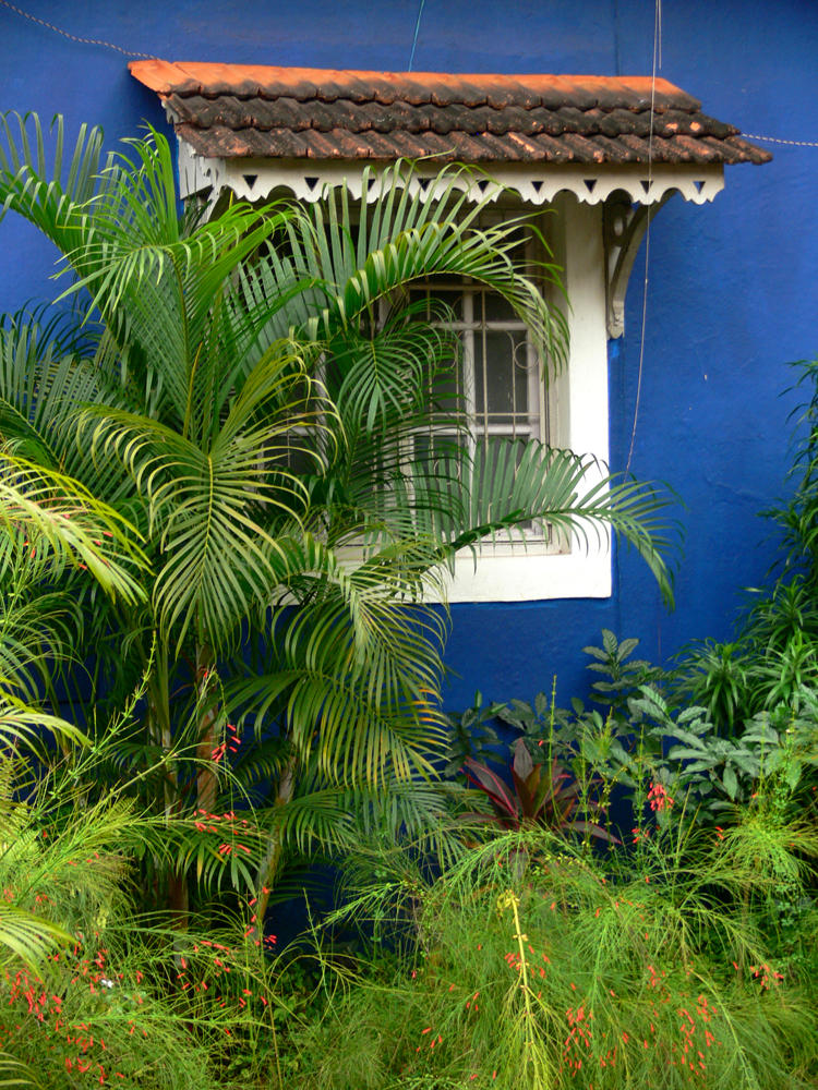 Blue house