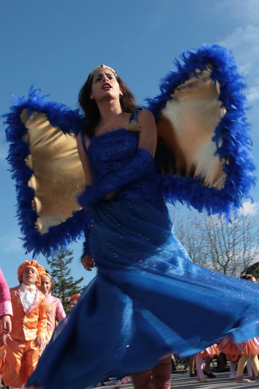 A fairy?