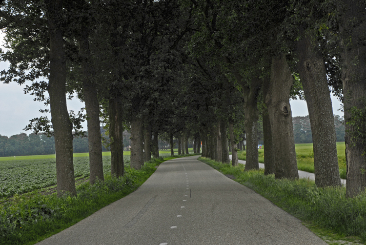 G5 Camp Westerbork, No light at the end of the tunnel.jpg