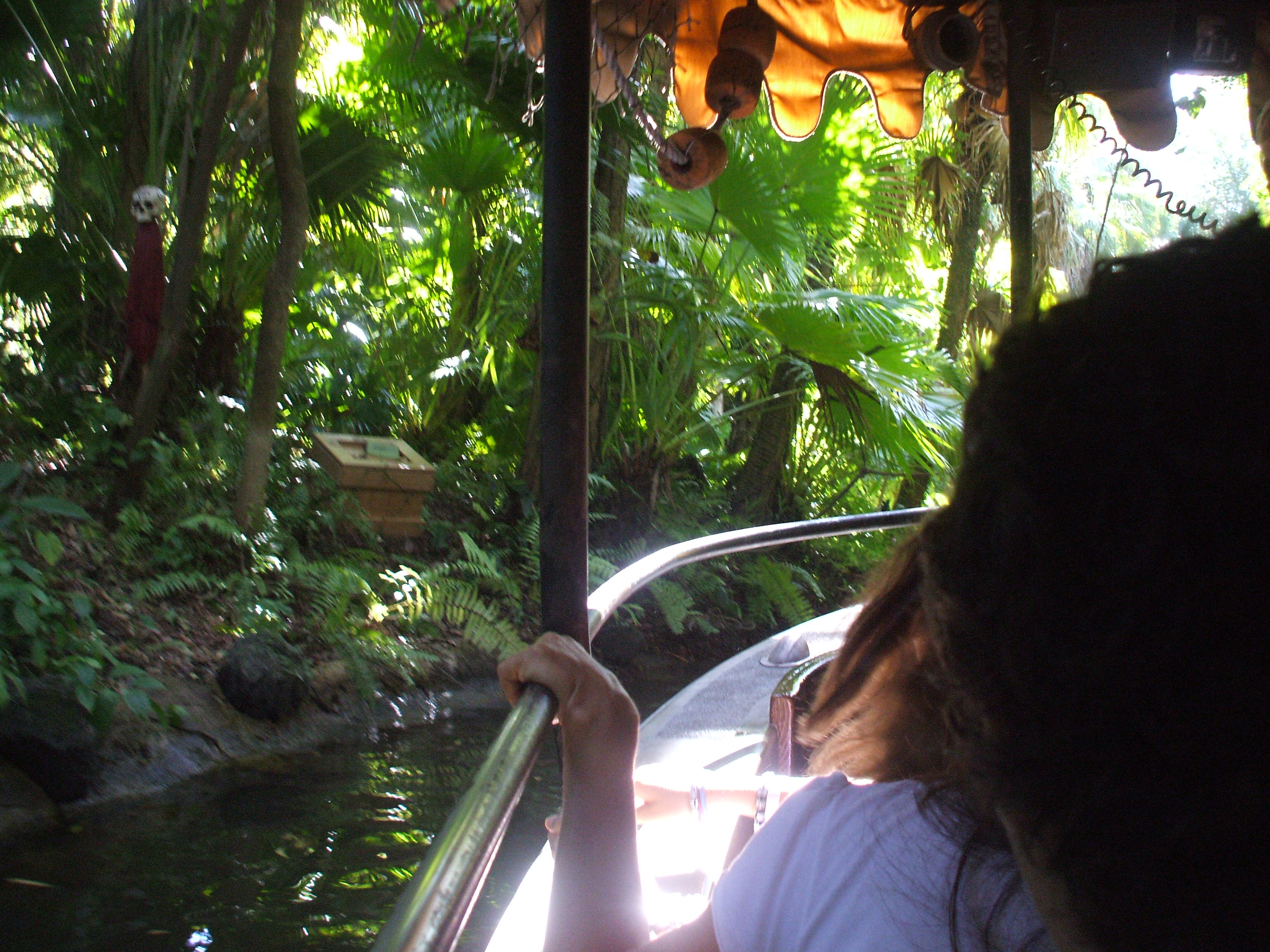 Jungle cruise