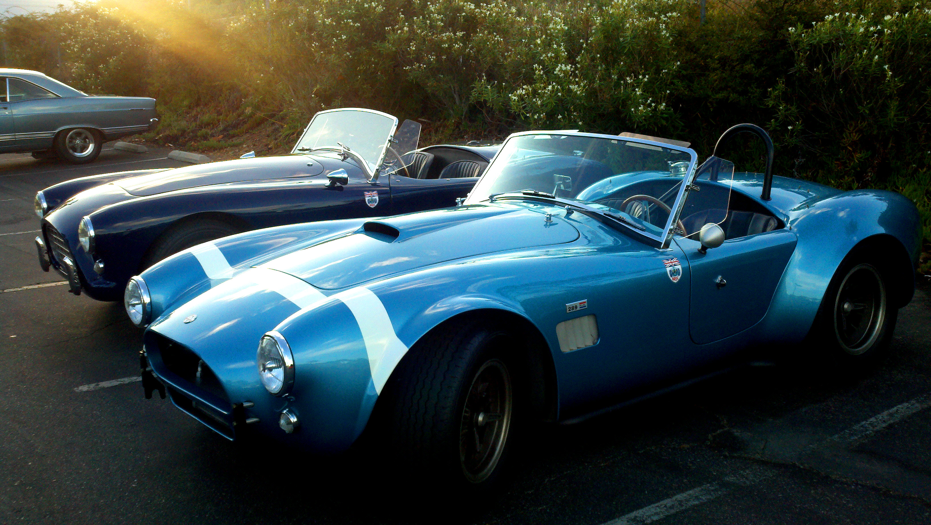 AC Cobra & AC Ace