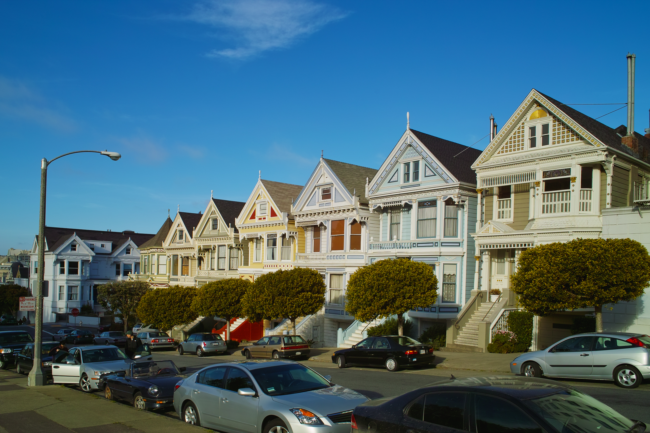 SDIM2048 painted ladies 4.jpg