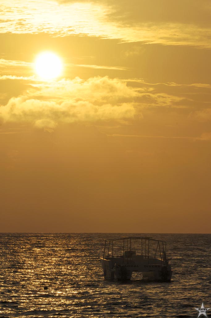 Into the Sun