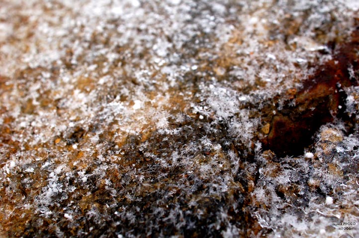 DSC_0037.jpg