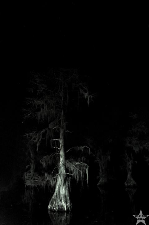 Night Vigil