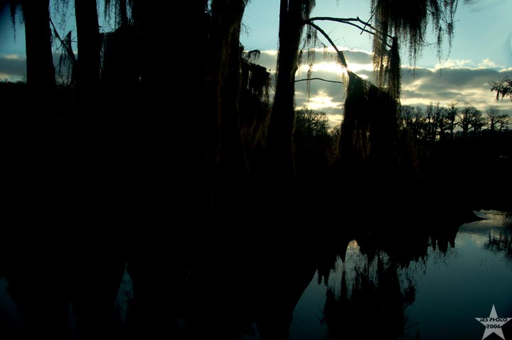 Caddo Morning