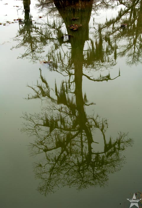 Murky Reflection