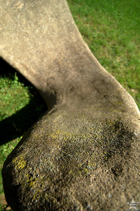 Cement Worm