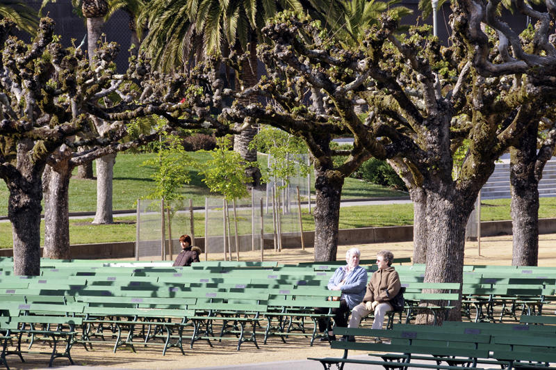 Golden Gate Park