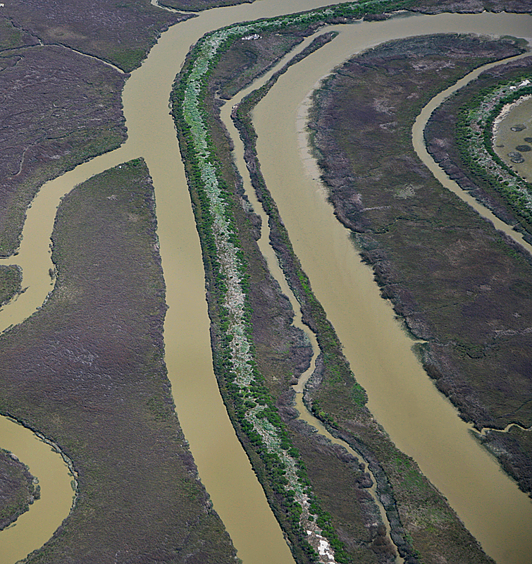 Petaluma Slough