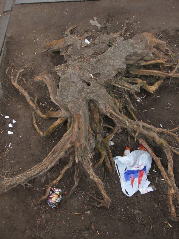 Stump With Crimson Sails grocery and Lays potato chips bags