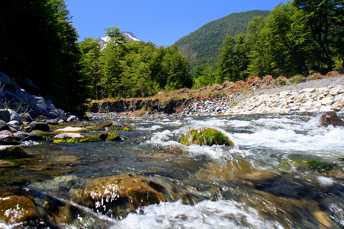 Enco river and Choshuenco volcano